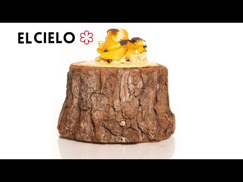 The Bizarre 20 course Michelin Star Meal ($300)