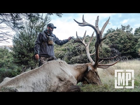 Hunting Wapiti in New Zealand | Mark V. Peterson Hunting