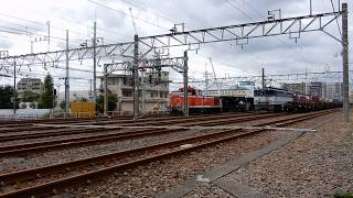 【JR貨物】1091レ EF65 2097号機 2018.09.11 60fps