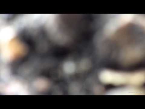 BMW 2 SERIES 218D LUXURY ACTIVE TOURER BLUE 2016