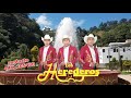 Trio Los Herederos - Por Un Caminito