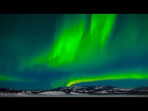 30 Minute Sleep Music: Delta Waves, Sleeping Music, Meditation, Calm Music, Yoga, Sleep Music, ☾☆023