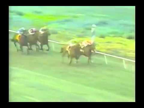 1993 Sunset Handicap