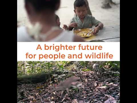 Increasing the supply of sustainably produced meat and farmed fish