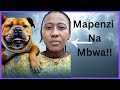 Kazi YA KUFANYA MAPENZI NA MBWA SAUDIA ARABIA