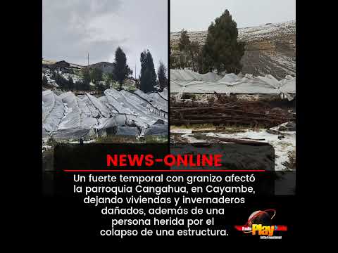 🟠#NewsOnline - #Ecuador🇪🇨 ▶️ Granizada en Cayambe causa estragos y deja un herido.