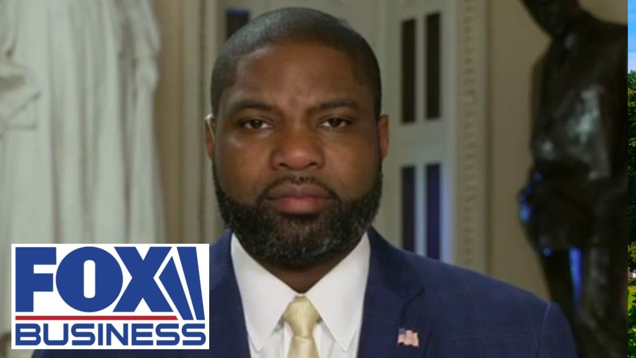 'IN THE LOONEY BIN': Rep. Donalds calls out Democratic colleagues