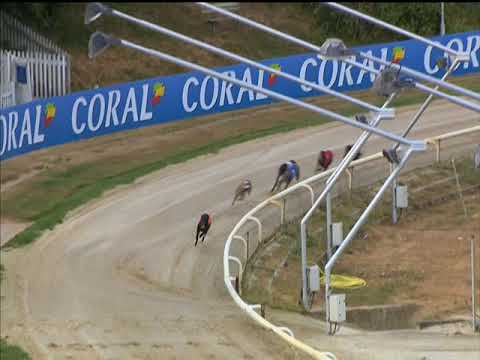 Ower Boy Bullet – Coral Sussex Cup Heat 1