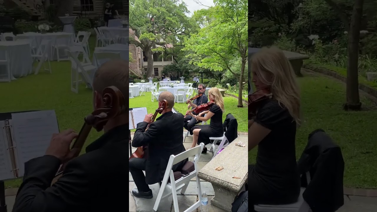 Promotional video thumbnail 2 for Charleston Elite Musicians