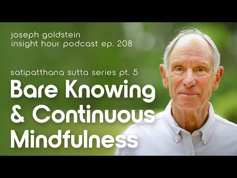 Joseph Goldstein's Satipatthana Sutta Series Pt. 5 – Insight Hour Ep. 208