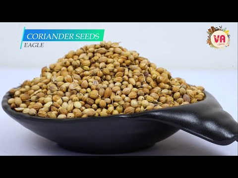 Dried green eagle coriander seeds, packaging size: 40 kg pp ...