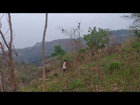 DJ gahan 💯😀😀🎶🎶SHAHINA Music