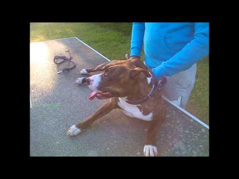 Crispo feat. Derkson x Jukxon x Rukxon