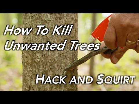 , title : 'How To Kill a Tree | Hack and Squirt'