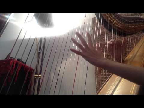 Sword Art Online - Gracefully (harp cover)