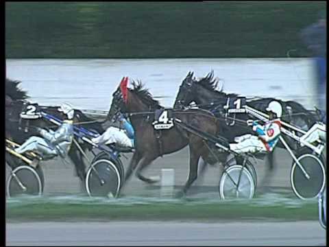 Trotto 11/10/2016 - 6ª corsa