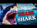 Killer Shark Hollywood Movie Hindi Dubbed // Full Action / Advanture Movie || Full HD
