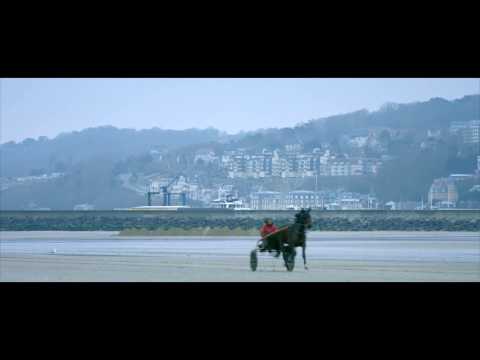 Chevaux à l'entraînement sur la plage de Deauville