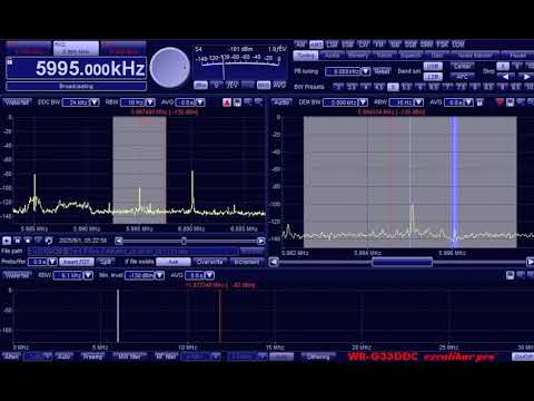 5995kHz R.Mali (presumed) 20250901 0520JST