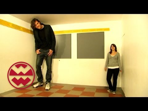 Sinnestäuschungen - Welt der Wunder