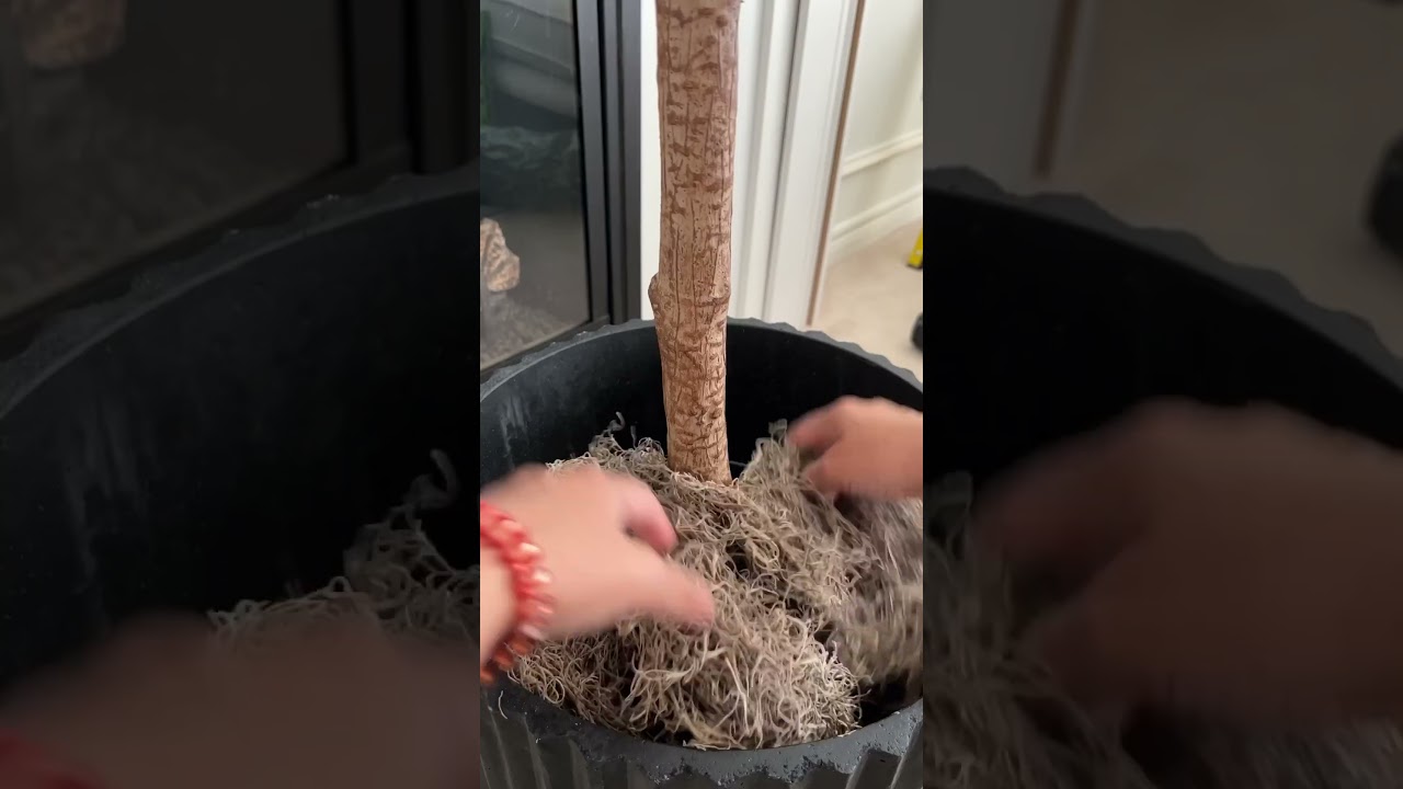 Simple trick to make your faux plants taller. Use boxes inside an oversized planter #homedecor