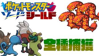 ポケモン全917匹集めるまで終われない旅 Part11【剣盾】