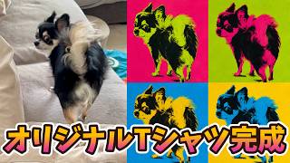 愛犬のオリジナルTシャツ完成しました。 #犬との暮らし #chihuahua #dog #チワワ #癒し ＃可愛い