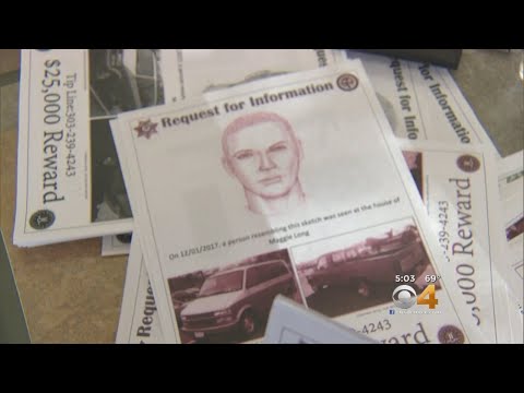 Police Release Suspect Sketch In Search For Maggie Long's Killer