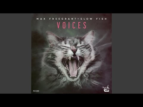 Voices (Extended Mix)