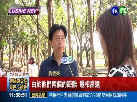 2熱低壓蠢動 下週雙颱機率高