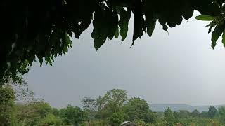 เที่ยงวันนี้ฝนตกลุ้นว่าจะได้ไปส่องอึ่งไหมครับ