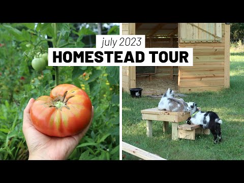 JULY 2023 FULL Garden and Homestead summer tour (vegetables, chickens, goats) GroundedHavenHomestead