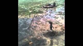 Knox Well natural gas pressure