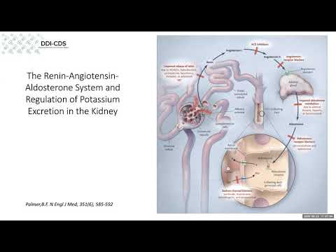 Drug interactions involving ACE inhibitors or ARBs and potassium-sparing diuretics