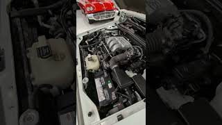 1993 Chrysler New Yorker Fifth Avenue Startup Video