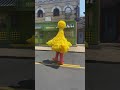 Sesame Place Performance 3