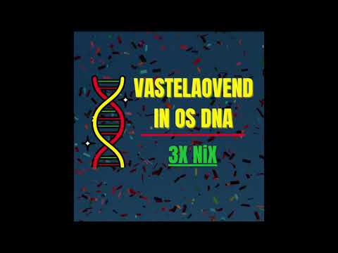 3x NiX - Vastelaovend in os DNA | LVK 2021 / CMC Alaif 2021
