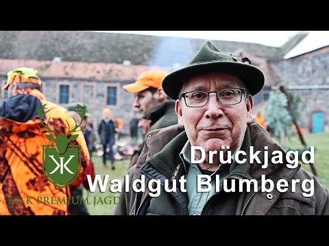 Drückjagd Waldgut Blumberg K&K Premium Jagd