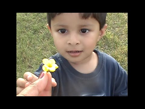 2008 Najeeb Flower to Tahmina