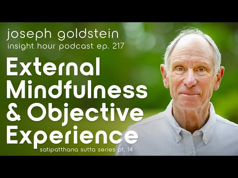 On The Nature of Mindfulness - Joseph Goldstein's Satipatthana Sutta Series Pt.14 - Insight Hour 217
