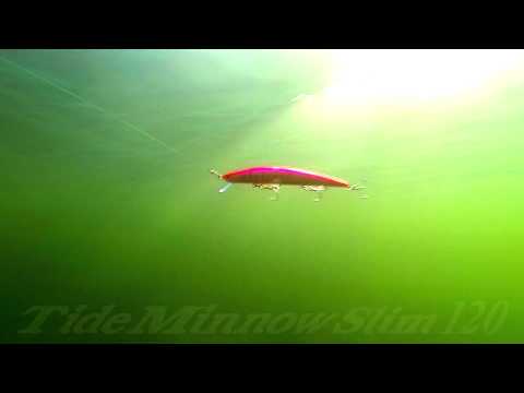 DUO`s Lures in Motion #29: Tide Minnow Slim 120