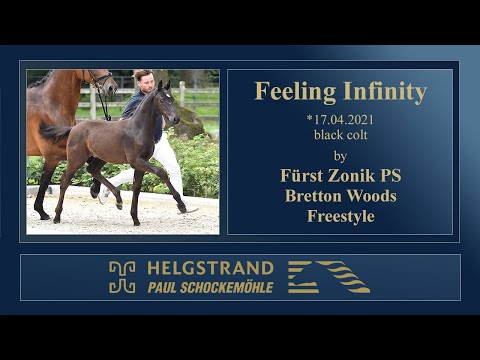 7 Feeling Infinity by Fürst Zonik PS - Bretton Woods - Freestyle