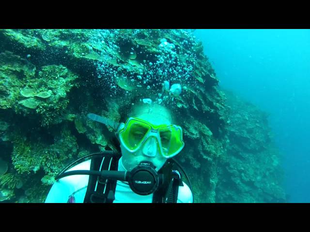 Montego Bay Scuba Dive 3 of 6 - Active panic in open water diver