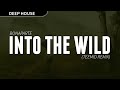 BONAPARTE - INTO THE WILD (Teemid Remix ...