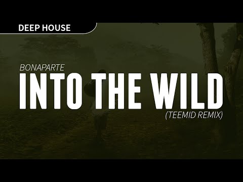 BONAPARTE - INTO THE WILD (Teemid Remix)