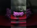 MONTAGEM FALLOUT Funk Edit Caredit Supercar Shorts