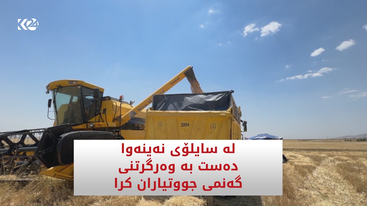 ڤیدیۆ | له‌ سایلۆی نەینەوا ده‌ست بە وەرگرتنی گەنمی جووتیاران كرا