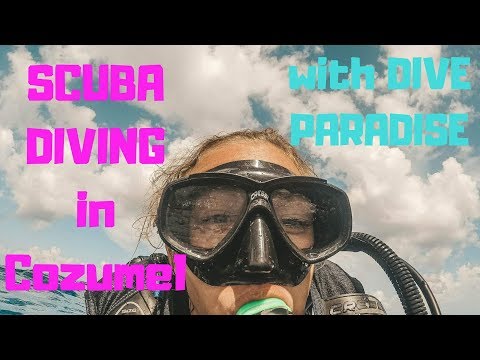 Scuba diving with DIVE PARADISE in Cozumel Mexico