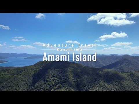 世界自然遺産　奄美大島