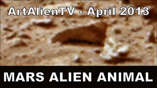 Mars Alien Animal Skull: Curiosity Camel Anomaly: ArtAlienTV - 768p